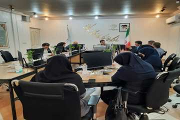  کمیته اجرایی برنامه بیمه روستایی و پزشکی خانواده